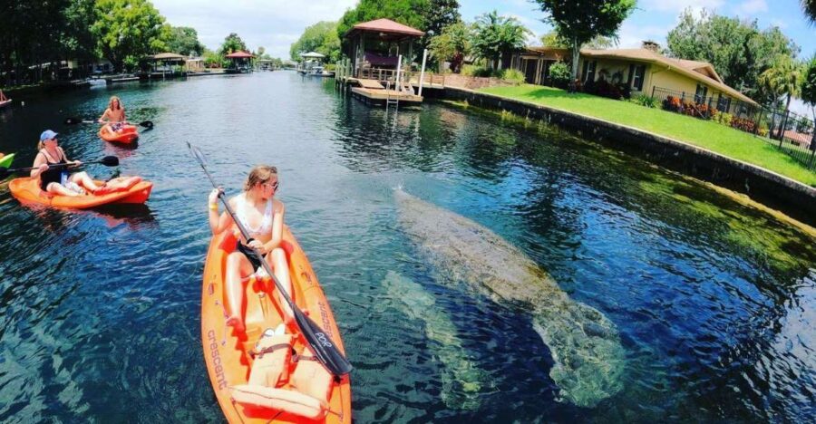 Crystal River: Kayak Rental - Starting Your Adventure at Pete’s Pier Marina