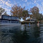 Crystal River: Kings Bay Manatee Watching Cruise - Spotting the Famous Manatees in Their Natural Habitat