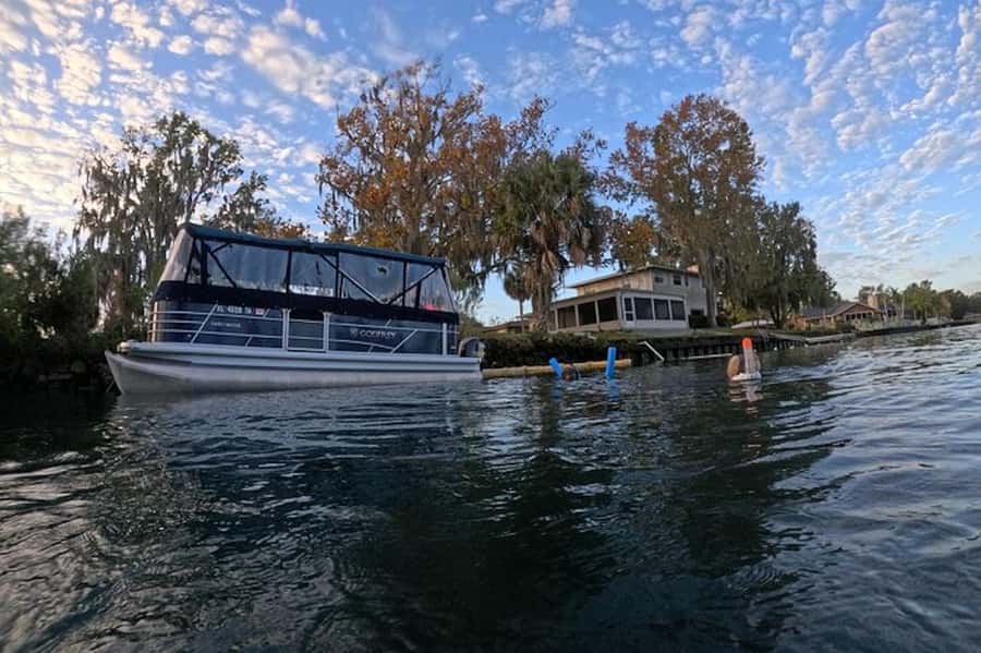 Crystal River: Kings Bay Manatee Watching Cruise - Spotting the Famous Manatees in Their Natural Habitat