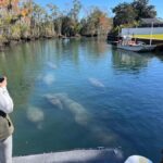 Crystal River: Manatee Eco-Tour Boat Ride - The Experience of Wildlife Watching in Kings Bay
