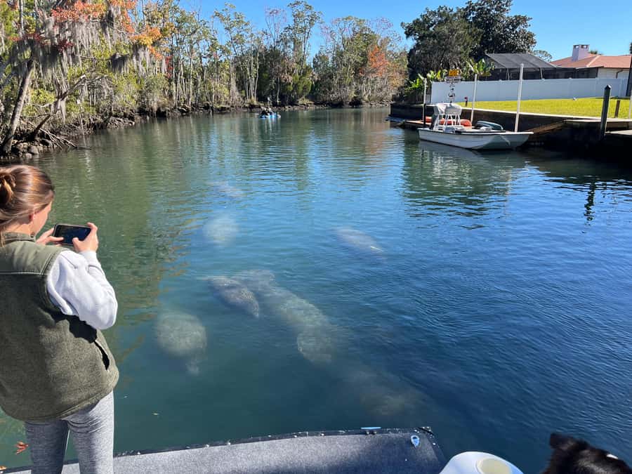 Crystal River: Manatee Eco-Tour Boat Ride - The Experience of Wildlife Watching in Kings Bay