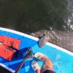 Crystal River: Paddle Board Rental - How to Prepare for Your Crystal River Paddleboard Adventure