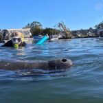 Crystal River: Swim with Manatees Private Tour Free Photos - Meeting Point at Boat Slip 106 in Crystal River