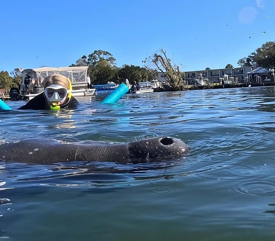 Crystal River: Swim with Manatees Private Tour Free Photos - Meeting Point at Boat Slip 106 in Crystal River