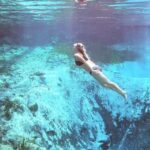 Crystal River:Three Sisters Springs Guided Kayak & Swim Tour - Navigating the 1-Mile Paddle to Three Sisters Springs
