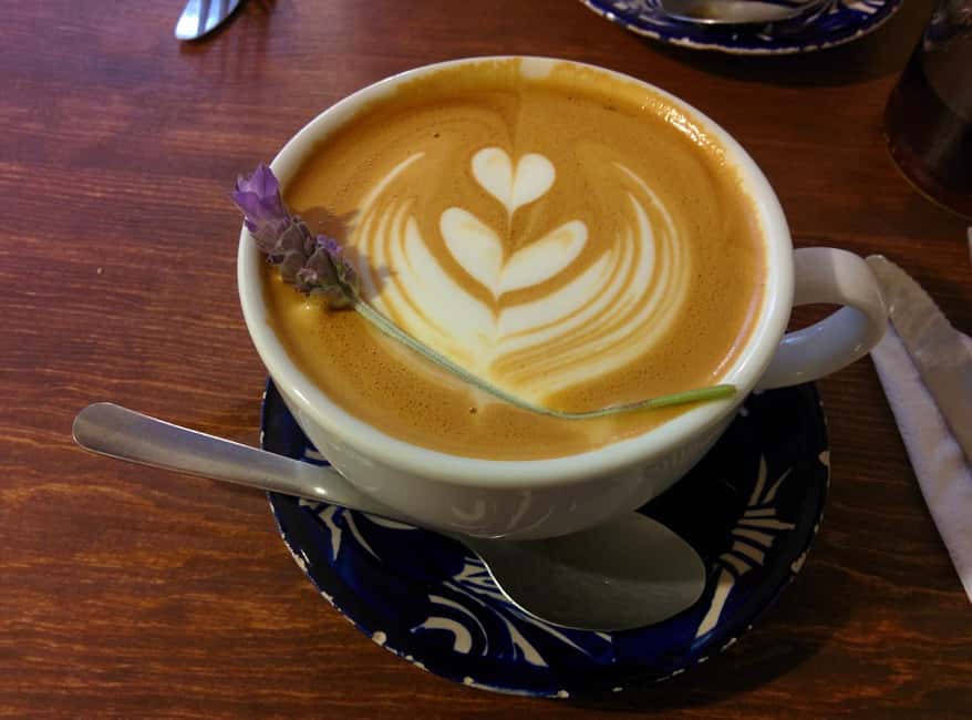 Culinary Tour: San Miguel One Bite at a Time - Starting Point and Tour Structure in the Heart of San Miguel