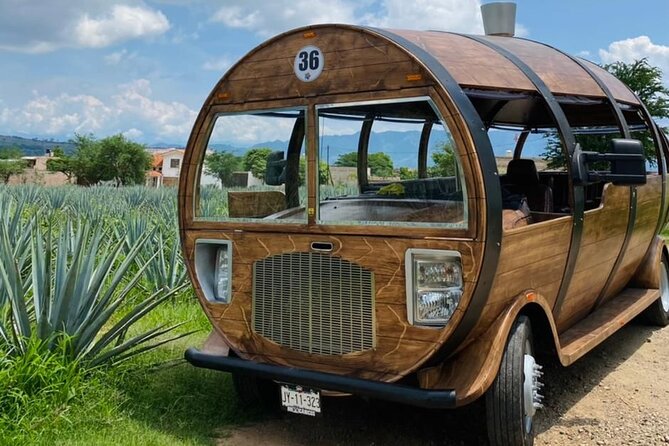 Cultural tour, city fields and distillery - Visiting the Agave Fields: Learning from the Land