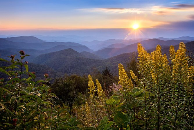 Custom Half-Day Photo Tour with Photography Lessons from Asheville - Meet Your Private Guide for a Personalized Asheville Photo Experience