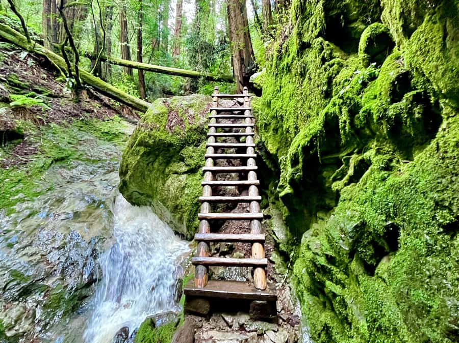 CUSTOM PHOTO ADVENTURES TO THE BAY AREA'S MOST EPIC SCENERY - Starting Point and Meeting Logistics in San Francisco