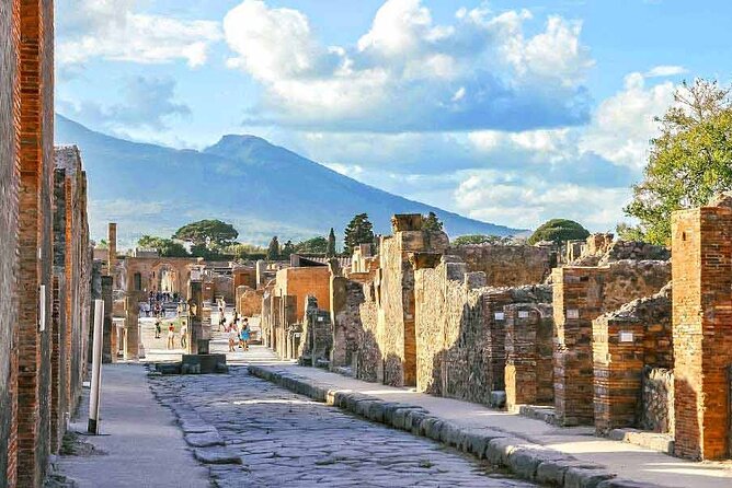 Customizable Private Tour of Herculaneum & Pompeii - Wine Tasting at Cantina del Vesuvio: Vines on Volcanic Soil