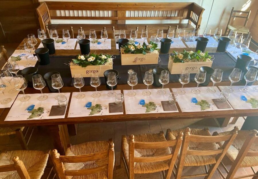 Custoza: Organic Wine Tasting with Vineyard and Cellar Tour - Visiting a Historic Winery on the Custoza Hills