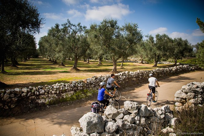 Cycling Across Salento: Capo di Leuca 4-Hour Bike Tour - The Tour Starts at Torre di Salignano, a Historic Coastal Defense