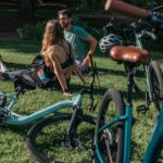 Daily Self Guided Bicycle Rental and Experience Beltline Trail - Exploring Atlanta’s Iconic Beltline Eastside Trail