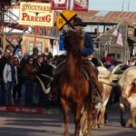 Dallas and Fort Worth City Sightseeing Tour Small-Group - Starting Point and Tour Duration