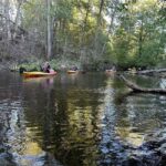 Dals Långed: Steneby River Kayaking Tour - Starting Point at Dalslands Aktiviteter for a Self-Guided Experience