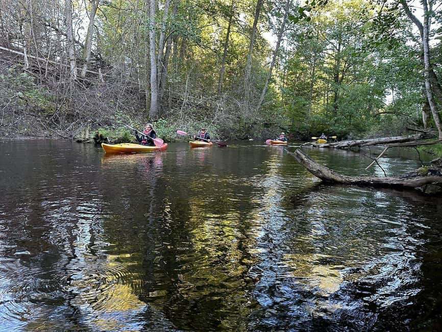 Dals Långed: Steneby River Kayaking Tour - Starting Point at Dalslands Aktiviteter for a Self-Guided Experience