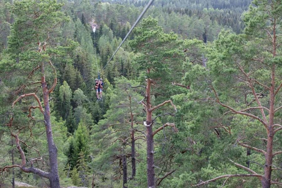 Dals Långed: Zipline Adventure at Steneby Gård - Location and Setting of the Zipline