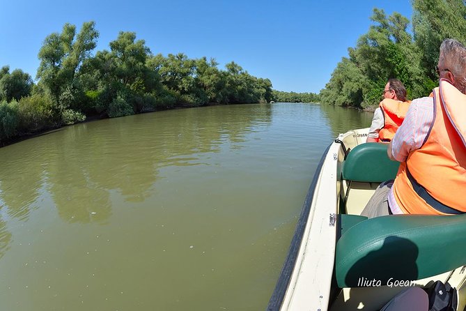 Danube Delta PRIVATE boat trip to Mila23 Village (guided tour) - Comfortable, Open Boat Designed for Nature Viewing