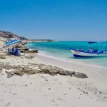 Danzante Island & Snorkel Tour from Villa del Palmar Hotel - Exploring Danzante Island: Scenic Boat Cruise and Wildlife Watching