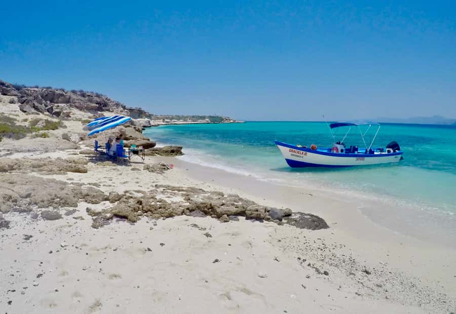 Danzante Island & Snorkel Tour from Villa del Palmar Hotel - Exploring Danzante Island: Scenic Boat Cruise and Wildlife Watching