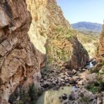 Dare to take a walk along the Caminito del Rey path private tour from Malaga - Highlights of the Guided Tour Experience