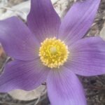 Day Hike in Kananaskis Country - A Wilderness Lunch with a View