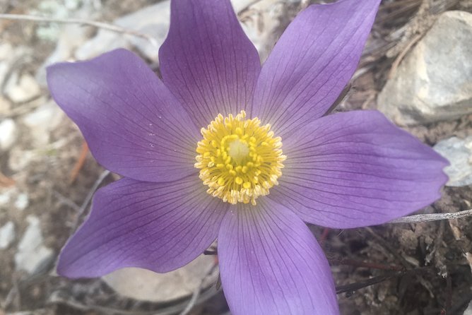 Day Hike in Kananaskis Country - A Wilderness Lunch with a View