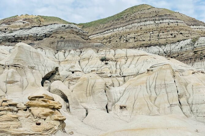 Day of Dinosaurs and Hoodoos From Calgary to the Badlands - Scenic Stop at Horseshoe Canyon