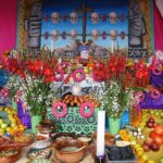 Day of the Dead Living Tradition with Frida Kahlo Museum - A Closer Look at the Frida Kahlo Museum