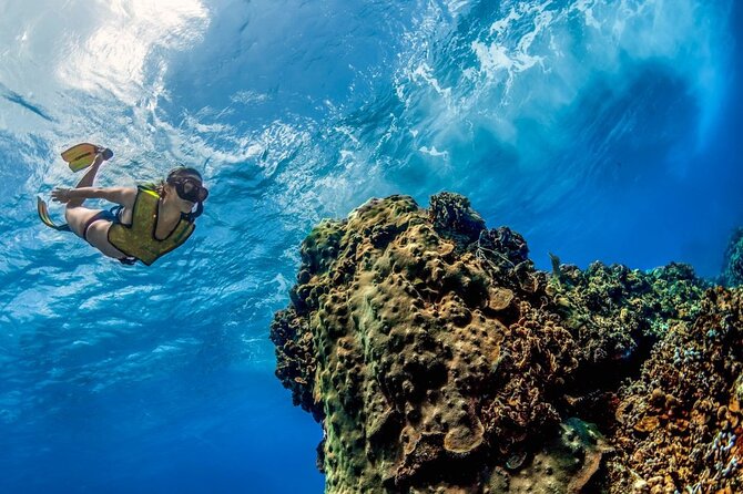 Day Pass To Cozumel Snorkeling By Boat - Start of the Day: Meeting Point and Departure Time