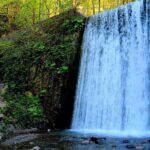 Day Tour Sapanca, Masukiye Tour from Istanbul - Visiting Darica Zoo in Summer Months