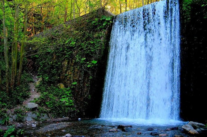 Day Tour Sapanca, Masukiye Tour from Istanbul - Visiting Darica Zoo in Summer Months
