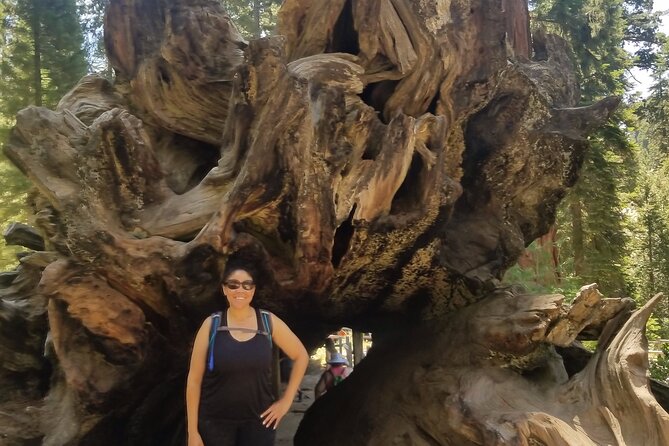 Day Tour to Kings Canyon National Park - Walking Through Giants at Grant Grove