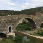 Day Tour to Lagrasse village and Fontfroide Abbey.Private tour from Carcassonne. - Exploring Lagrasse: A Medieval Village of Charm and History