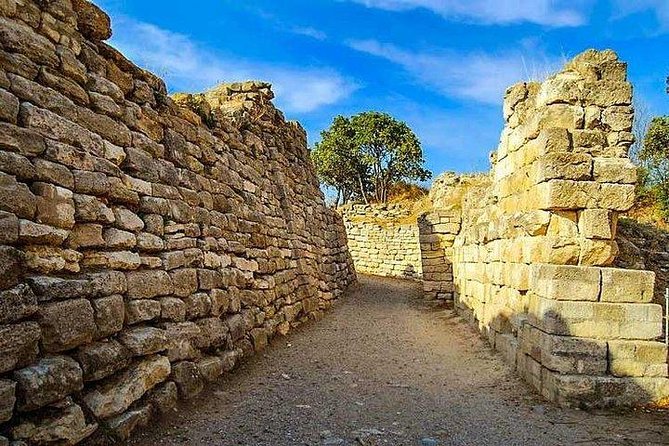 Day Tour - Troy Tour from Istanbul - Exploring the Ruins of Troy with Your Guide