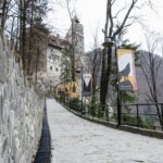 Day Trip Bear Sanctuary, Bran Castle, Rasnov Fortress from Brasov - Discovering Bran Castle, the Legend of Dracula