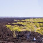 Day Trip from Oahu to Hilo: Volcano Adventure - Exploring Hawaii Volcanoes National Park