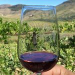 Day Trip Through the Enchanting Douro Valley #DuckSideOfPorto - Vineyard Tour and Lunch at Quinta da Roeda