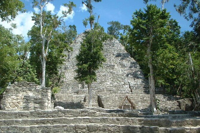 Day Trip to Coba and Punta Laguna with Mayan Lunch - Cycling and Walking Through Jungle Trails