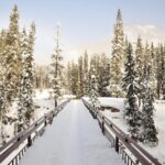 Day Trip to Lake Louise, Moraine Lake, Emerald Lake from Banff - Visiting Lake Louise: Iconic Beauty and Scenic Lunch Stop