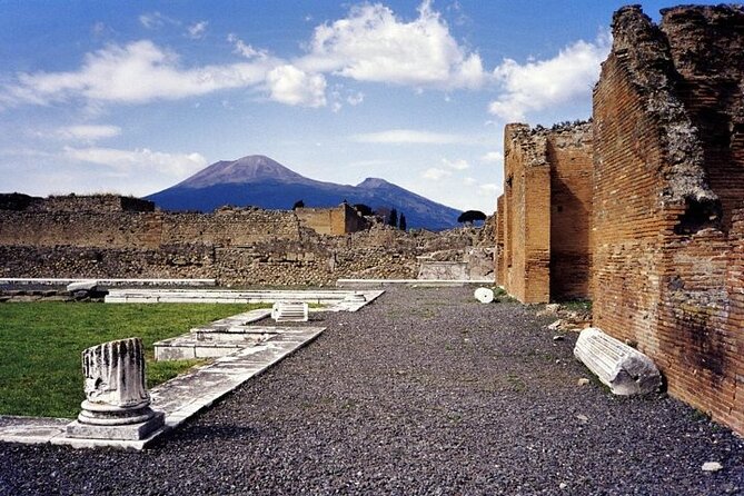 Day trip to Pompeii and Mount Vesuvius from Naples - Lunch and Exploration at Vesuvius National Park