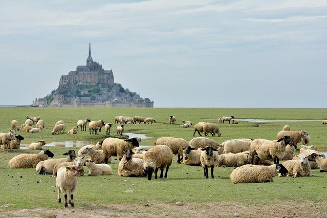 Day Trip with a local driver Mont Saint-Michel from Saint-Malo - 6 hours - Detailed Stops at Mont Saint-Michel and Saint-Malo