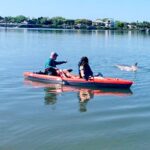 Daytona Beach: Guided Kayaking or Standup Paddling Tour - Navigating the Halifax River and Wildlife Encounters