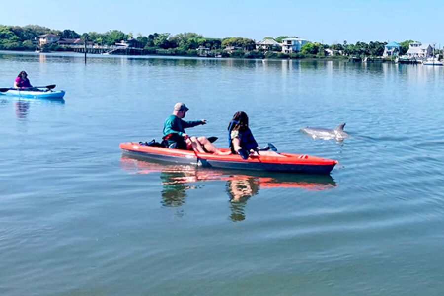 Daytona Beach: Guided Kayaking or Standup Paddling Tour - Navigating the Halifax River and Wildlife Encounters