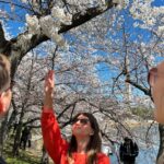DC: Cherry Blossoms & Tidal Basin Memorials Walking Tour - Tour Starts at the D.C. War Memorial in the Heart of the Tidal Basin