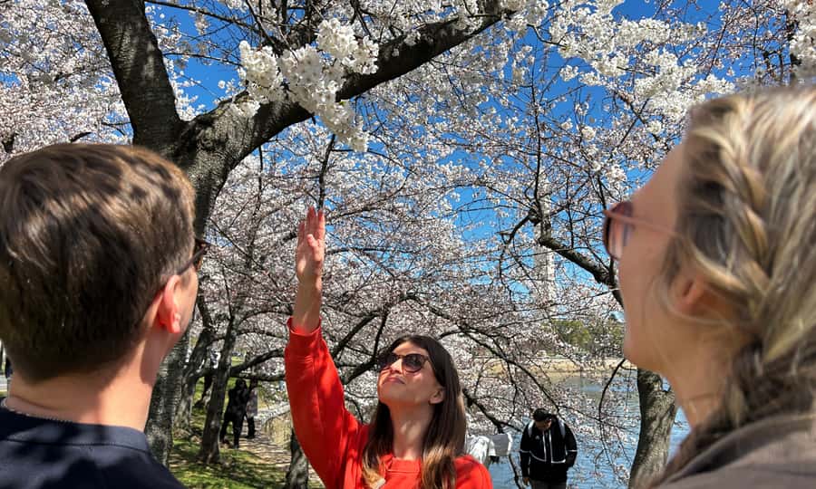 DC: Cherry Blossoms & Tidal Basin Memorials Walking Tour - Tour Starts at the D.C. War Memorial in the Heart of the Tidal Basin