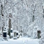 Death and Chocolate: Walking Tour of Munich's Old South Cemetery - Exploring Glockenbachviertel: Trendy Streets and Sweet Indulgence