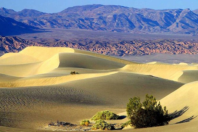 Death Valley Day Trip from Las Vegas - Practical Details and Logistics