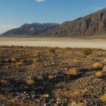 Death Valley Explorer Tour by Tour Trekker - Visiting Dante’s View for Panoramic Desert Vistas