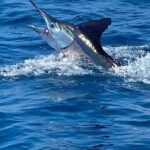 Deep Sea Fishing Tour in Huatulco Bays - Starting the Day with Convenient Pickup and Departure